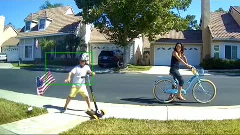 Child ripping American Flag out of neighbors yard