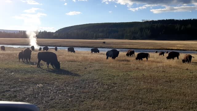 Yellowstone west entrance