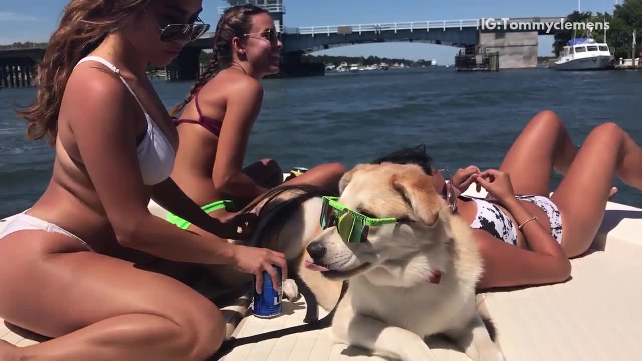 Dog boat sunglasses girls