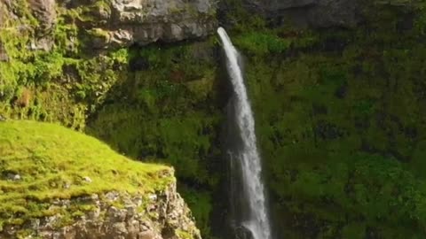 Nature falls