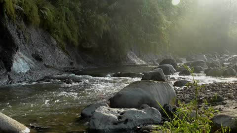 Let's be clam with our nature