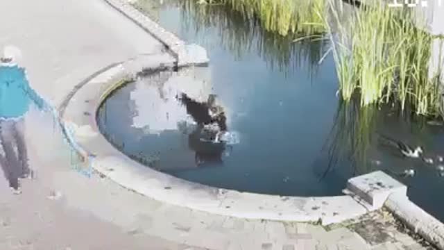 Video compilation with phone slaves ... 😊 😜