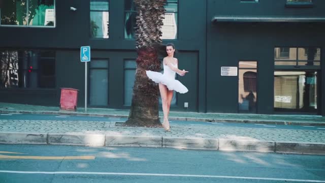 Ballerina Dancing VIDEO