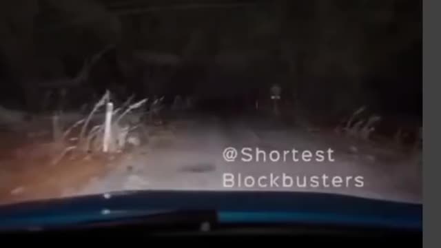 Monster in road trip