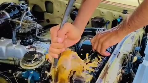 Clean the car engine, down to the last detail