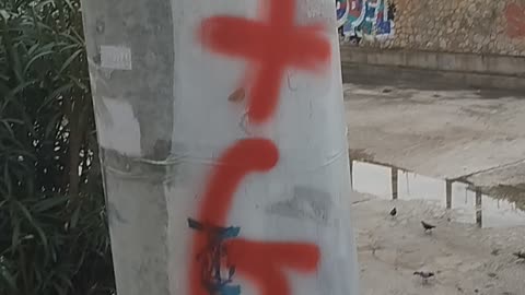 ΣΧΕΔΙΑΖΟΥΝ ΑΝΑΠΟΔΟΥΣ ΣΤΑΥΡΟΥΣ ΤΑ ΔΑΙΜΟΝΙΚΑ ΚΟΠΡΟΣΚΥΛΑ - ΟΞΩ ΑΠΟ ΤΗΝ ΕΛΛΑΔΑ