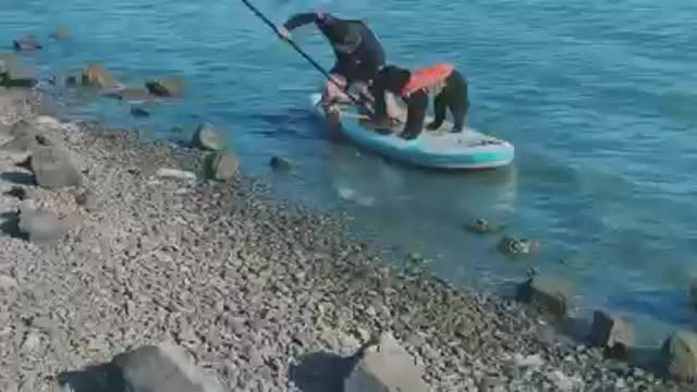 Dog funny amazing video ππΆππΊπ€£