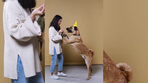 Funniest &cutest dog training
