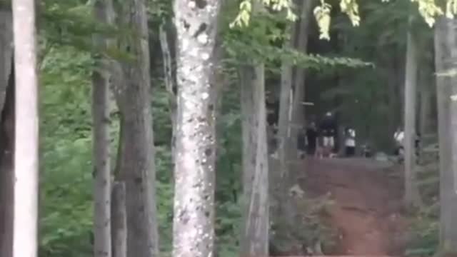 Disc golfer throws 530ft hole in one after slipping