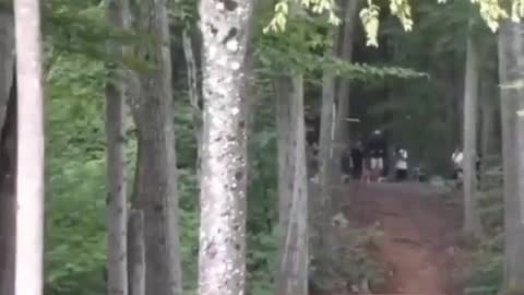 Disc golfer throws 530ft hole in one after slipping