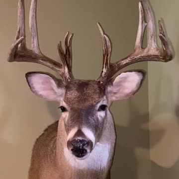 More media information suppression....