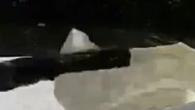 9mm Gun vs Ballistic Gel