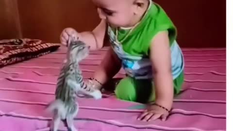 Oops baby vs baby cat so cute 😘😘