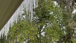 Melting Icicles