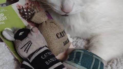 Munster doesn't like robbers