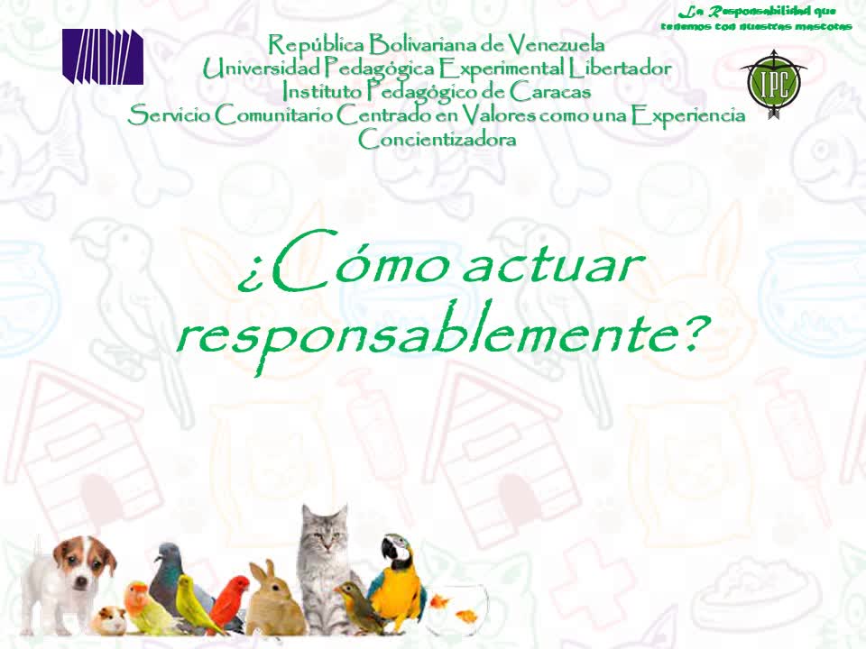 Foro: La responsabilidad que tenemos con nuestras mascotas