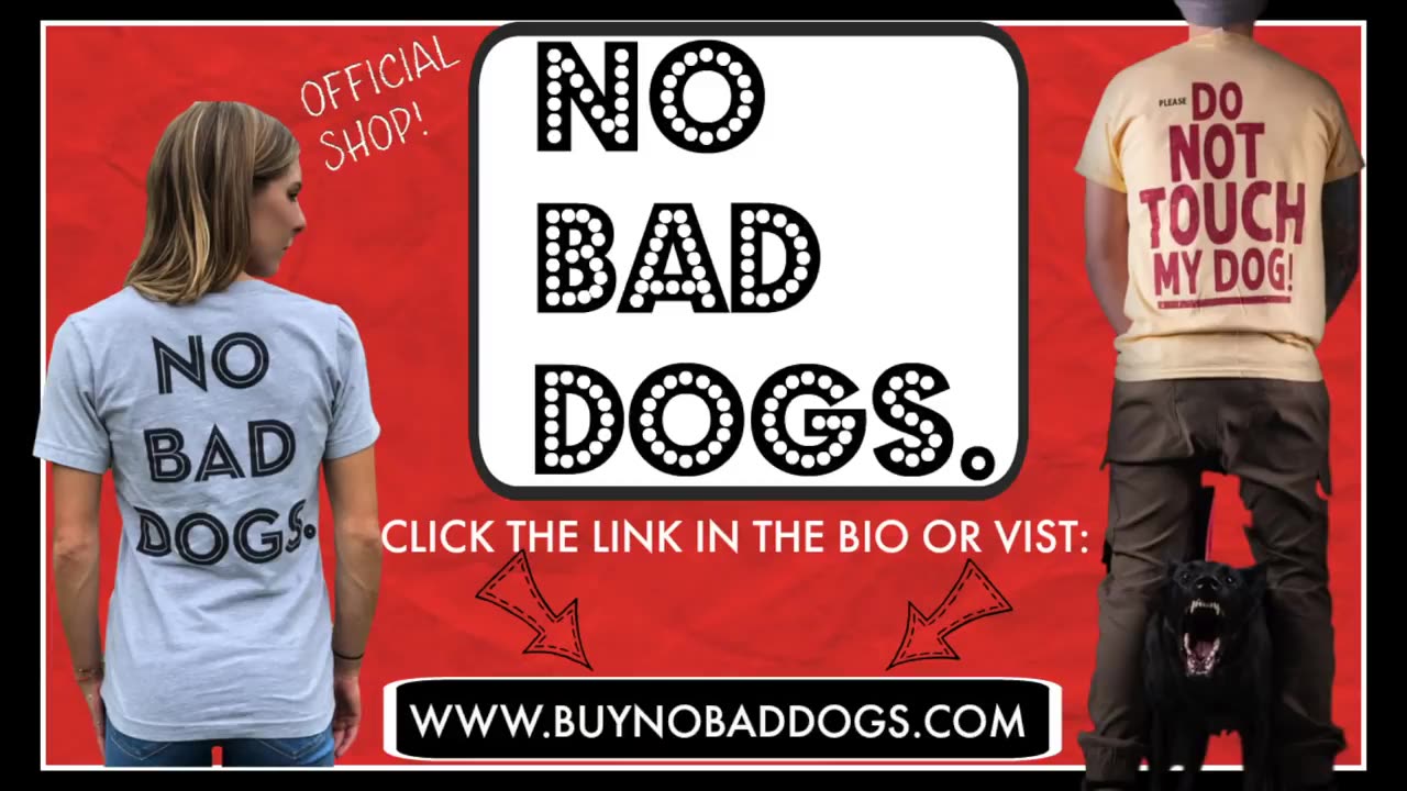 How to leash train your dog not to pull + dog training loose lead walking