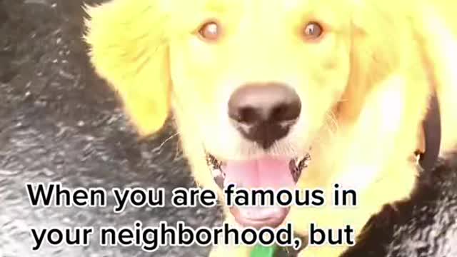 When you are famous in your neighborhood, but no one even knows your parent's real names