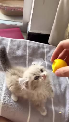 How cute! 😘😘😘