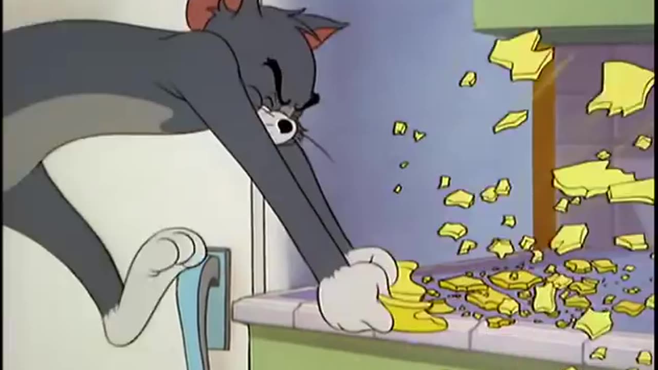 tom and jerry show