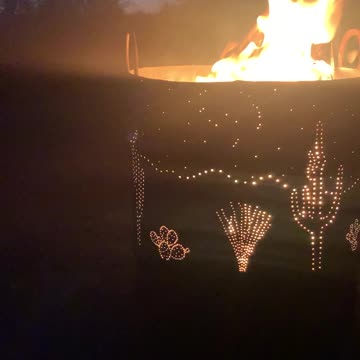 Desert Cactus at Night