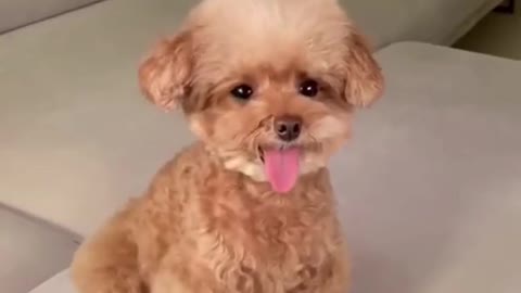 Haha so cute!!!