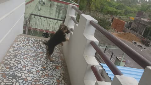 Tizan is watching the road from the balcony