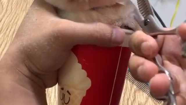 I want one
