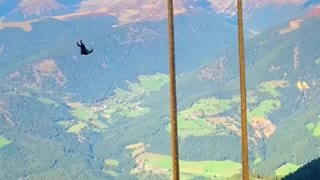 What a swing