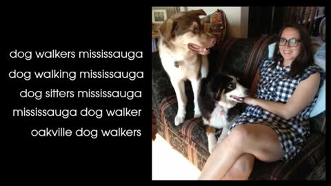 dog sitters mississauga