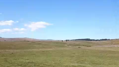 Panoramic view of Belever Tor area Dartmoor.