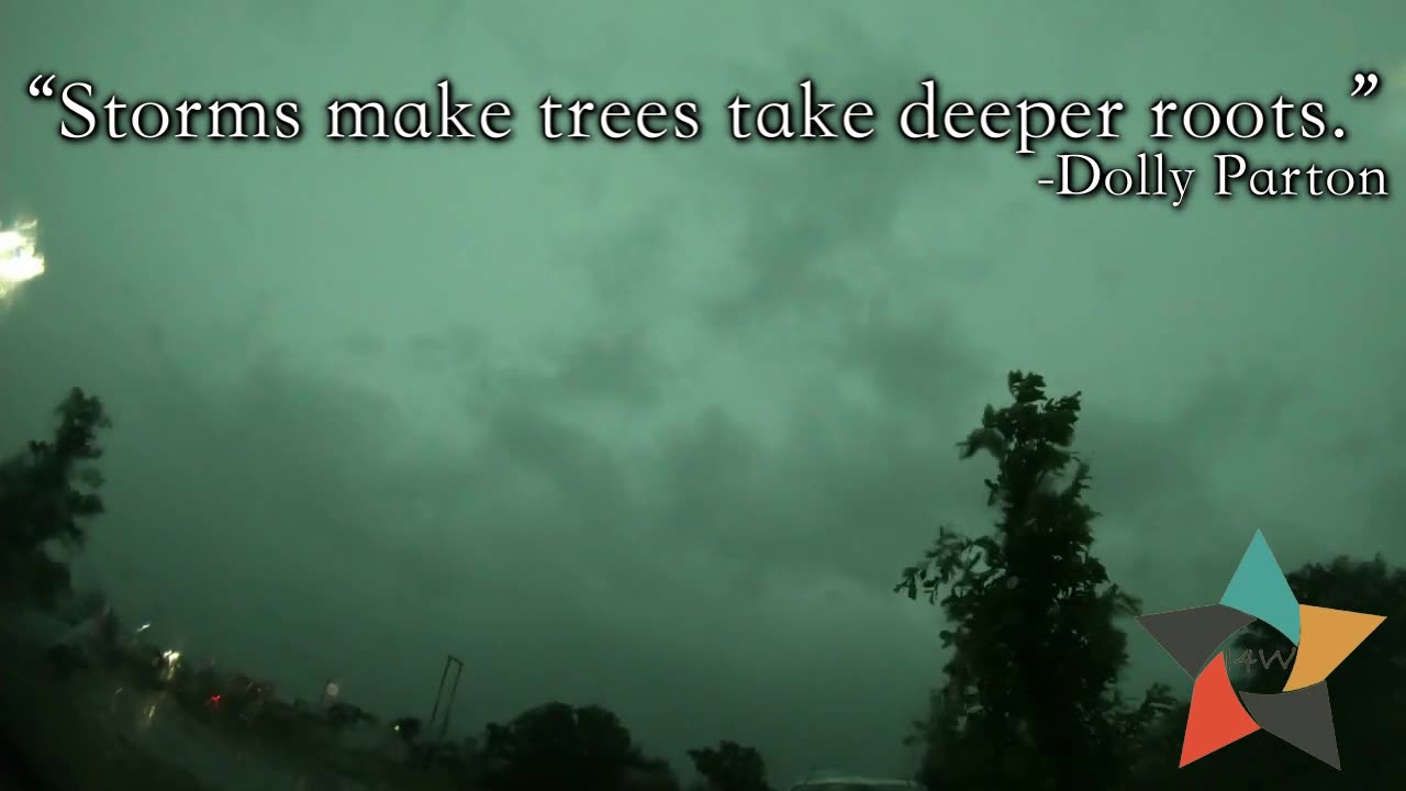 Inside4Walls Bumpers-Storms Make Trees Take Deeper Roots