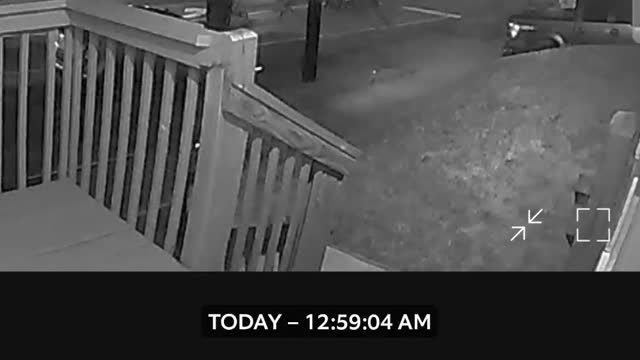 Doorbell Cam Captures Scooter Crash