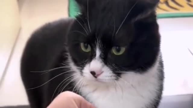 Don't think just because your fists are big, I'm afraid of you!