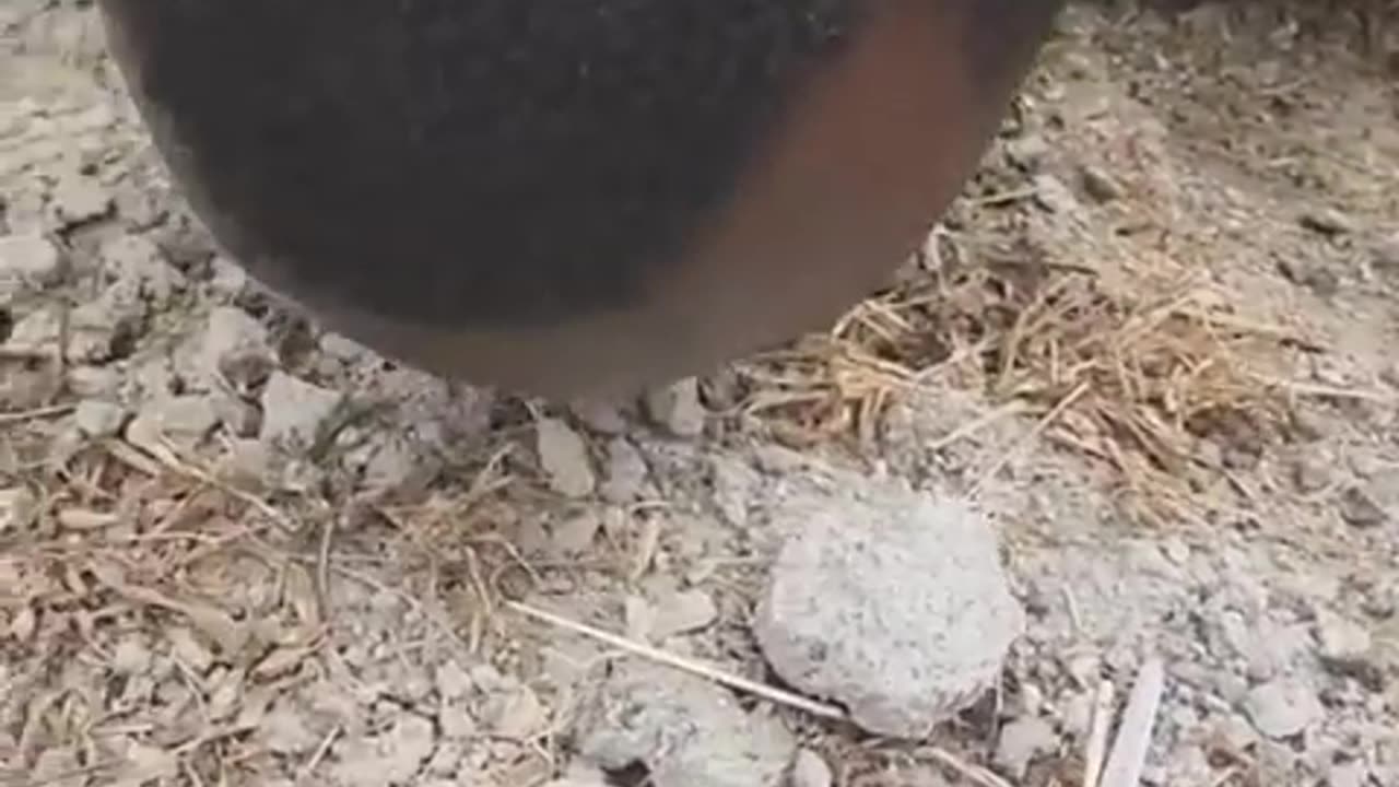 Levitation Challenge