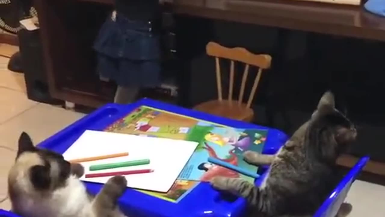 Girl teaching her cats how to draw a flower