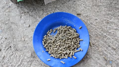 EXPERIMENT MAKING PELLETS FROM LOLLIPOPS