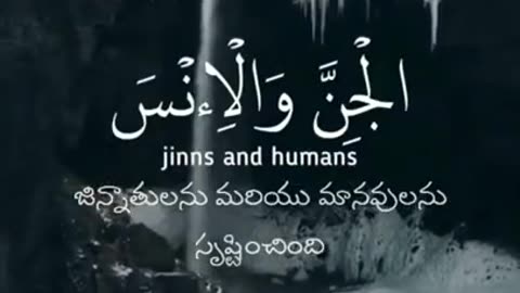 Beautiful quran recitation WhatsApp 2023 - وَمَا خَلَقْتُ الْجِنَّ وَالْإِنسَ إِلَّا لِيَعْبُدُونِ