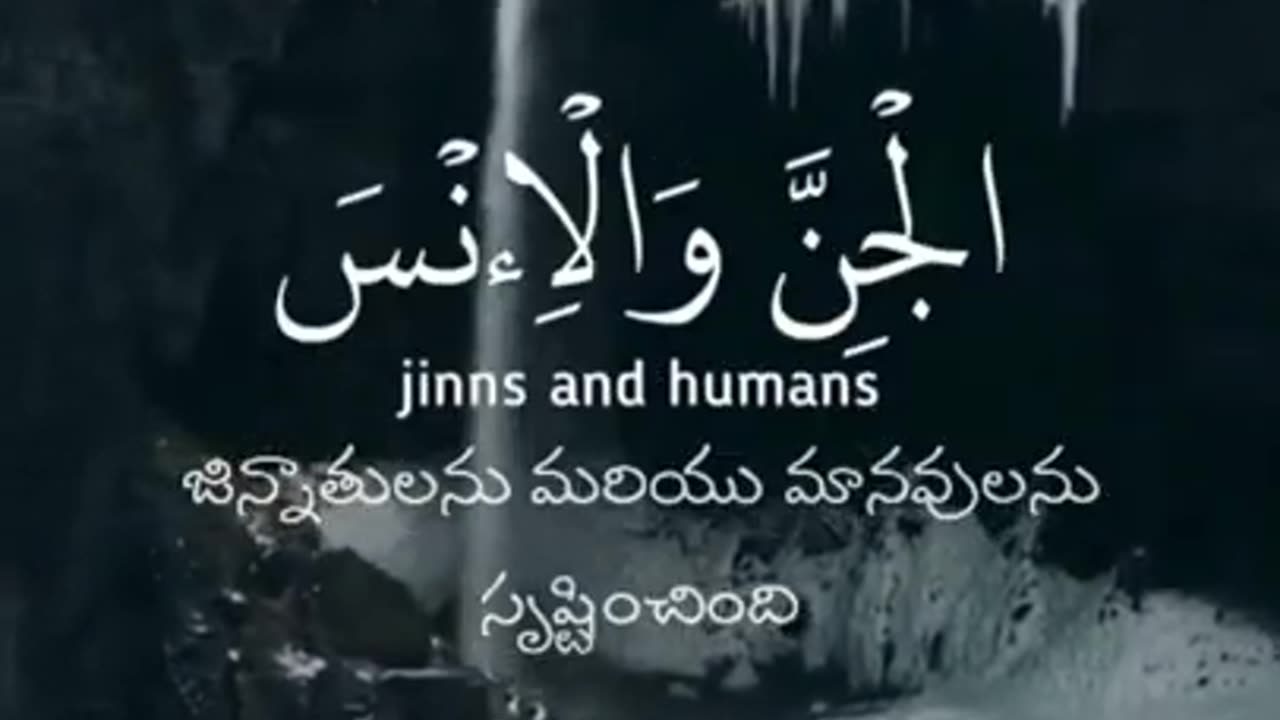 Beautiful quran recitation WhatsApp 2023 - وَمَا خَلَقْتُ الْجِنَّ وَالْإِنسَ إِلَّا لِيَعْبُدُونِ