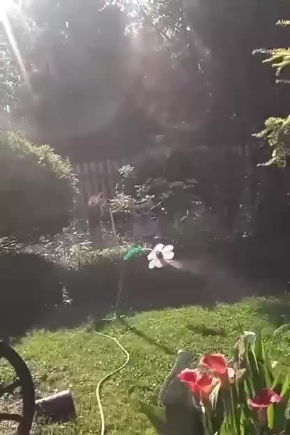 Heavy metal headbanger garden hose 🤣