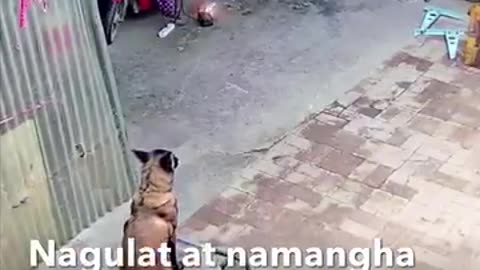 Caught in the act.