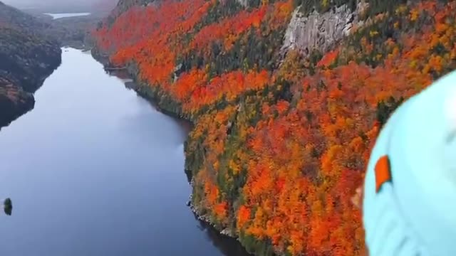 The colors in autumn are beautiful