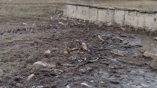 old spring