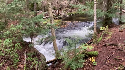 Hurd Brook to Rainbow Stream (100MW, Appalachian Trail, Maine) 2