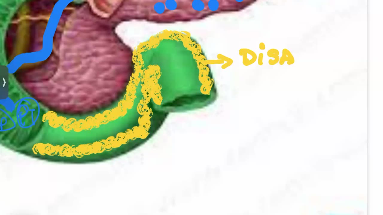 fisiopatología de la nutrición