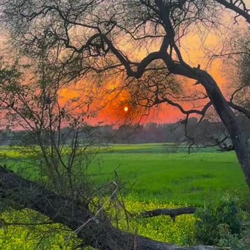 a beautiful afternoon