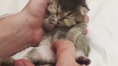 Any animal is so cute when it's little