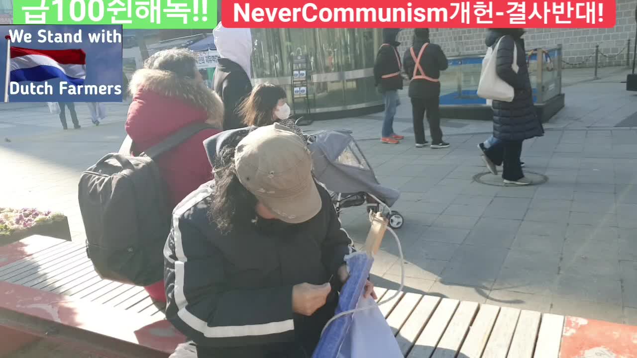 #대한문국본#현수막꿰메기#FreedomRally#RestoreRuleOfLaw