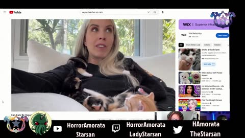 The StarMorata Animal Show