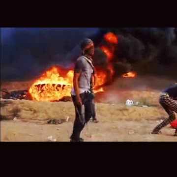 PALESTINIAN LIONS DANCING IN THE FACE OF DEATH